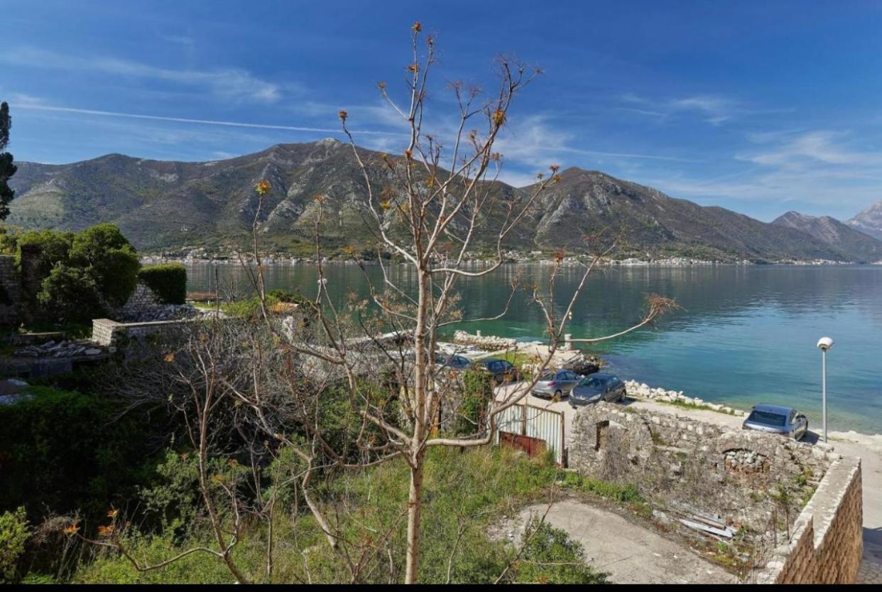 Apartments Barba Kotor Ngoại thất bức ảnh